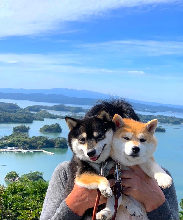 展望台からの眺めも素晴らしい！