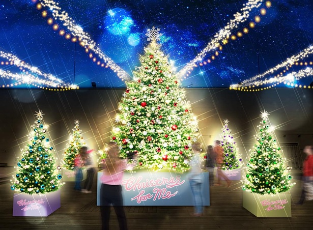 高さ5mのクリスマスツリーなど、会場は幻想的かつハッピーな空間に