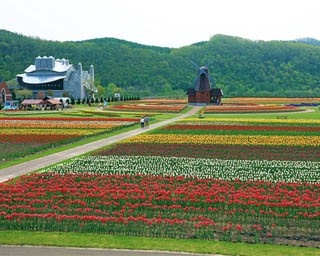 日本最大級の芝桜を見たあと、立ち寄りたいスポット4選