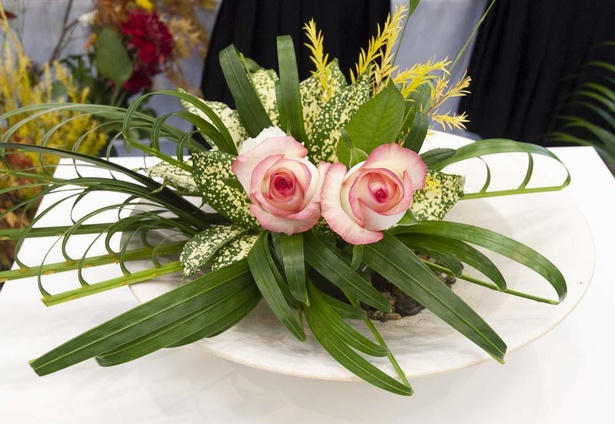 準優勝の群馬県立桐生高等学校の持ち込み花材もアレカヤシだが、こちらは横への広がりが特徴。「水のような表現をしたい」とこの花材を選んだ