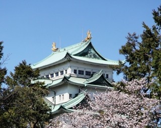 今週末に行ける！東海エリアの注目イベント5選 [2017年4月7日(金)～4月9日(日)編]