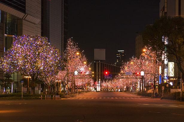 梅田新道から大江橋北詰交差点までは桜色。落ち着いた色合いで見る者の心をなごませる
