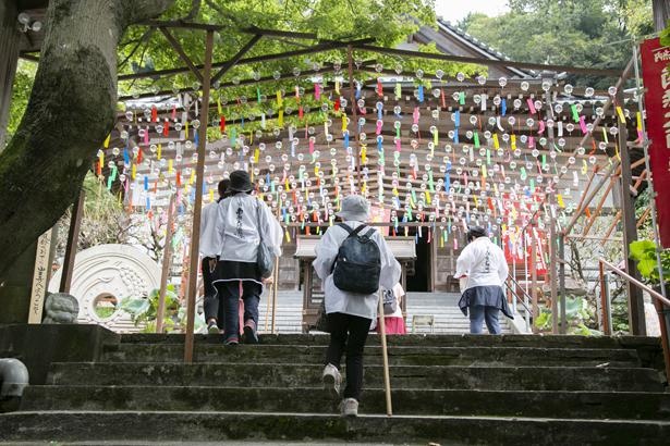 九州をはじめ、全国からも参拝者が訪れる。風鈴が並ぶ寺や、全長41メートルの涅槃像がある寺など、札所寺院はそれぞれ見どころ満載
