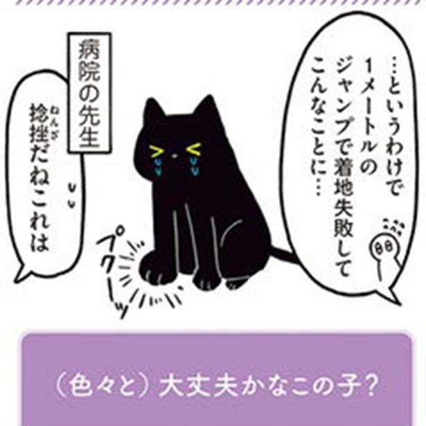 漫画 猫と言えば身軽なイメージ しかし ろんはジャンプしただけで 黒猫ろんと暮らしたら 1 2 ウォーカープラス