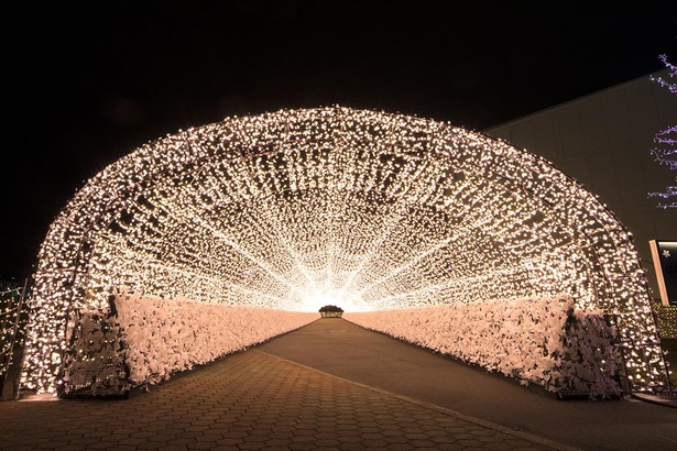 日本の心を伝える“桜”をイルミネーションで表現した「江戸桜トンネル」