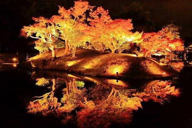 国宝彦根城・名勝玄宮楽々園のライトアップ