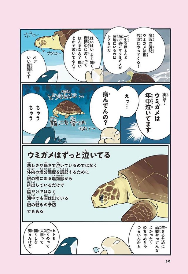 画像6 7 漫画 ウミガメの求愛はしつこい 産卵の時に泣く理由も どうぶつの恋愛が不思議すぎて ウォーカープラス