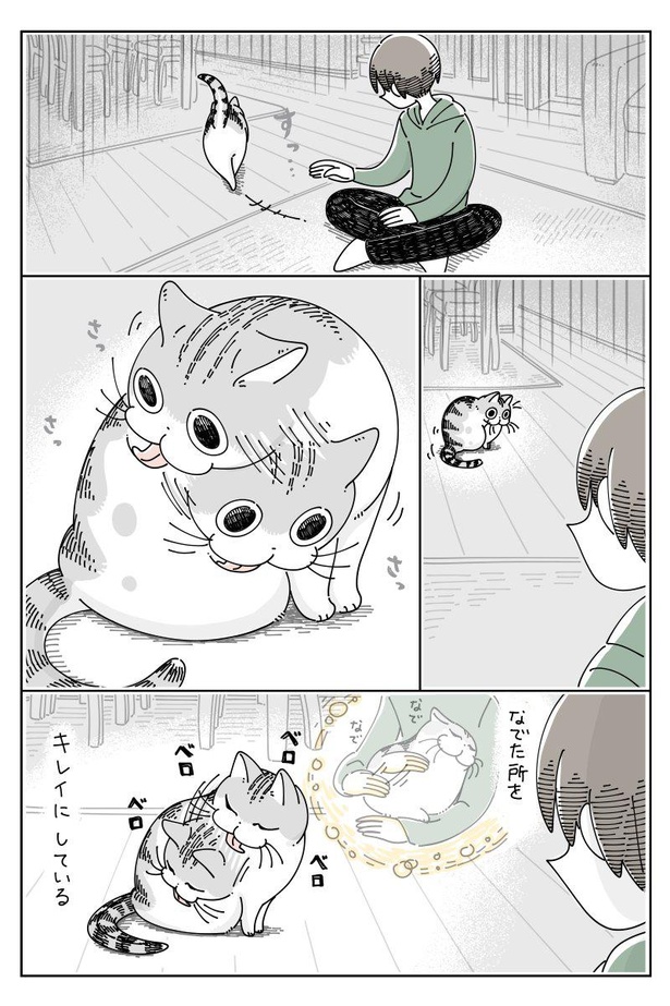 漫画 オレ 消毒されてる なでた場所を愛猫にペロペロと毛繕いされてちょっぴり寂しい 愛猫の行動に一喜一憂する漫画に15万いいね ウォーカープラス