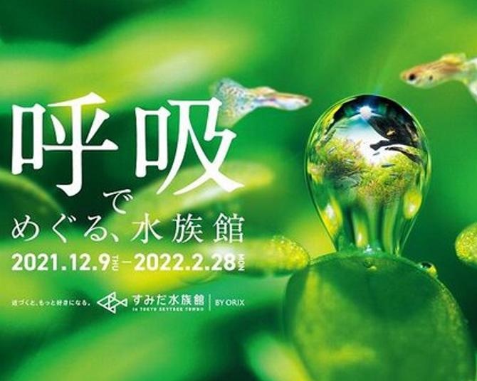 いきものたちの息づかいを感じよう！すみだ水族館で「呼吸でめぐる、水族館」を開催中