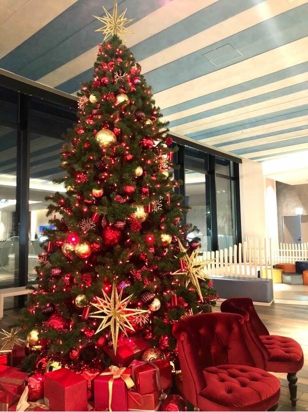 12月はホテルロビーに大きなツリーが飾られ、クリスマス気分が高まる