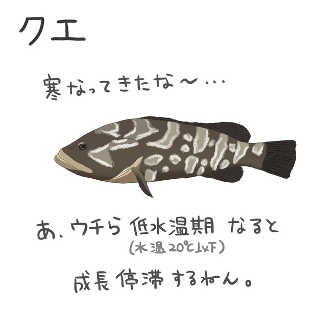 魚が関西弁で自らの生態を解説