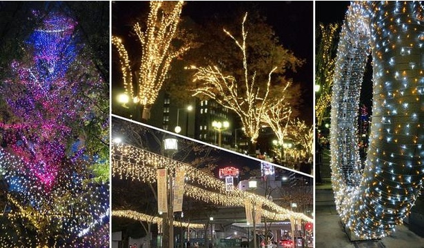 南海高野線堺東駅～南海本線堺駅までのストリートが、シャンパンゴールドのLEDで飾られる