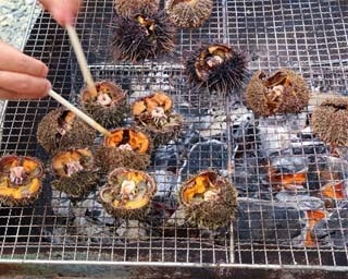 北海道のグルメイベントで旬の春ウニを堪能！