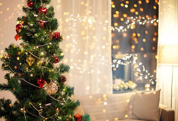 クリスマスも“おうちイルミ”を楽しもう！おすすめのイルミネーションライトを紹介｜イルミネーションガイド2021-2022 - ウォーカープラス