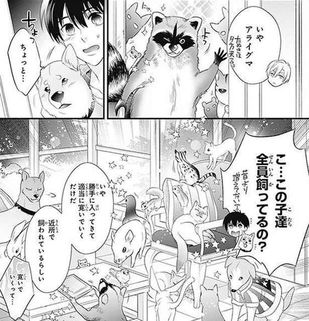 動物 漫画 雑誌 オファー