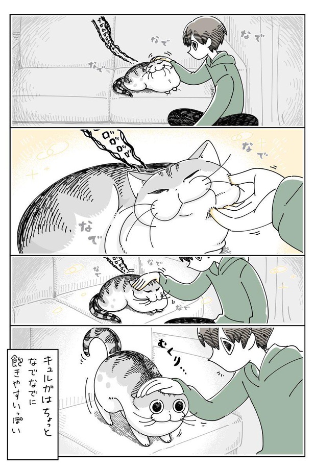 漫画 幸せの無限ループ なでなでタイム は愛猫と飼い主の至福の時間 うちのこもコレ 気まぐれかわいい ウォーカープラス