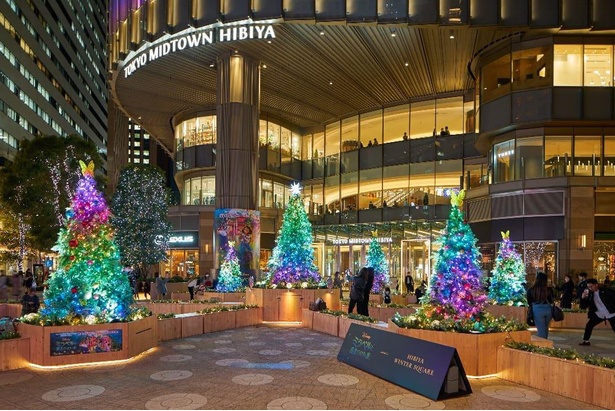 【写真】日比谷ステップ広場には7本のクリスマスツリーが登場