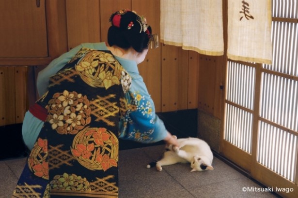 さわられてゴロゴロ