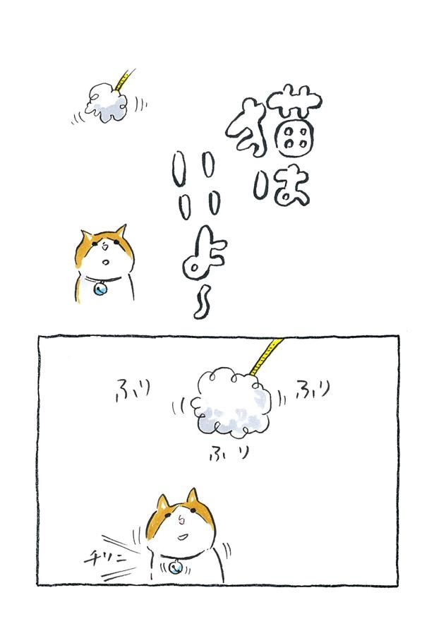 漫画 猫との暮らしをゆるく描いた ほんわかエッセイ 猫のコタツと大塚くん に癒やされる ウォーカープラス