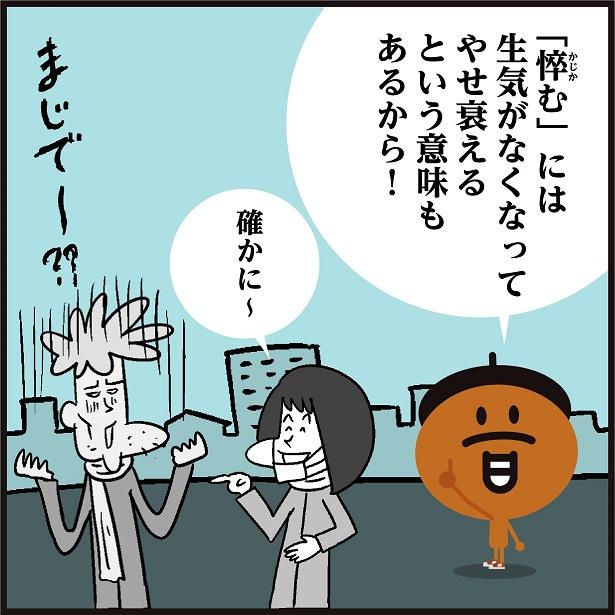 画像をクリックで次へ！／360-t-4
