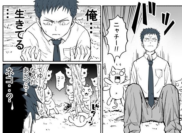 生きてる…？これが噂の異世界転移か!?でも、その世界にはネコしかいない