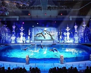 八景島シーパラダイスの動物ショーがリニューアル！