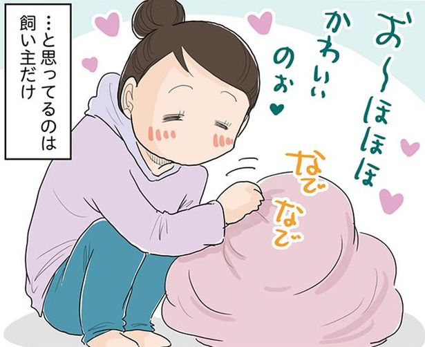 そこに猫がくるまっていると思うだけで、その塊が愛しく思える