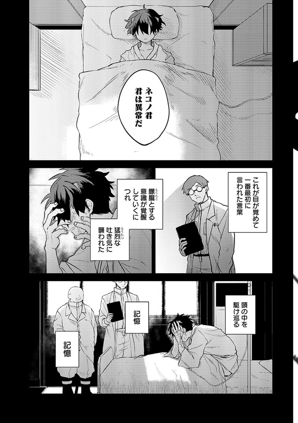 ネコノ・ディスオーダー3