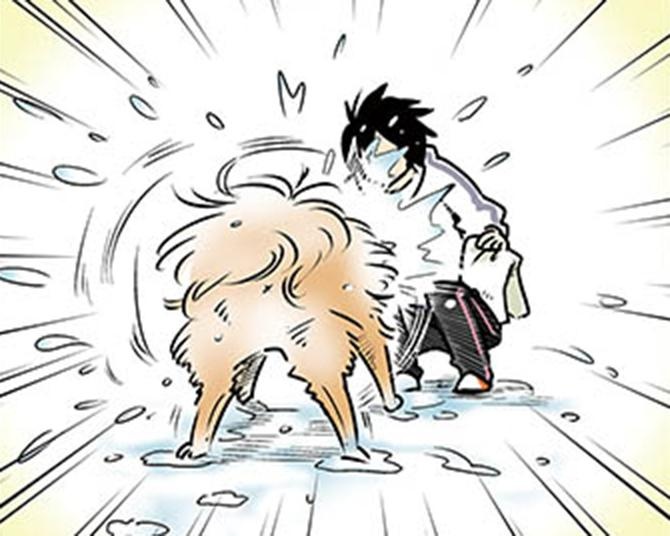 【漫画】雨の日の散歩帰り。家に入る前に「ブルブル」してと言ったけど…！／雑種犬ゴンさんがダサかわいい