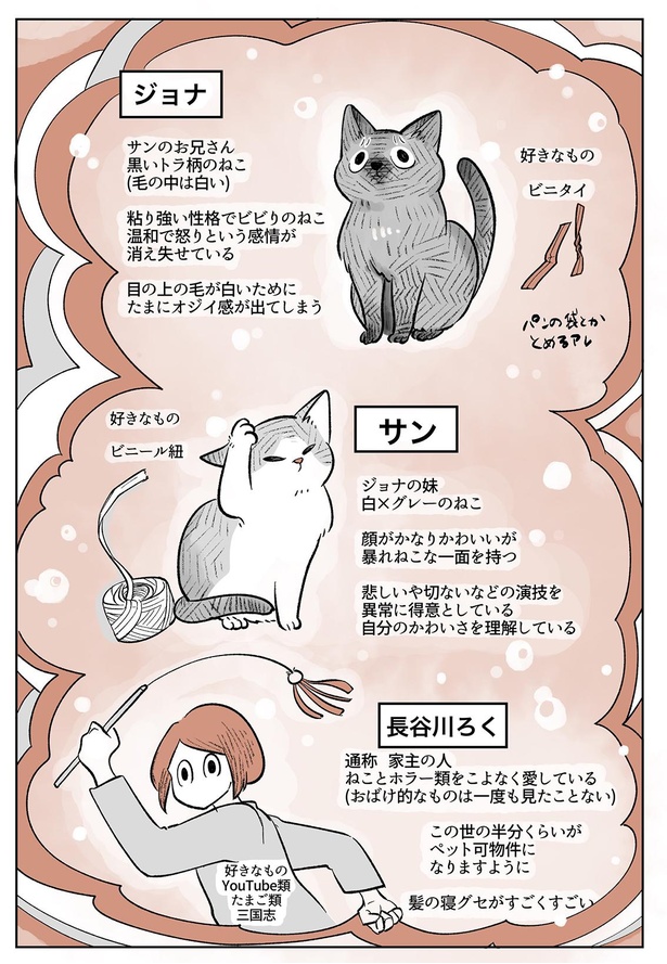 「こねこのドレイ」連載スタート!3/7