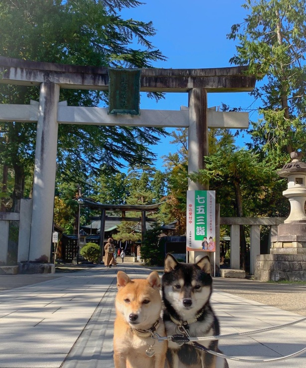 上杉神社の鳥居前で記念撮影。こわばった表情もかわいい