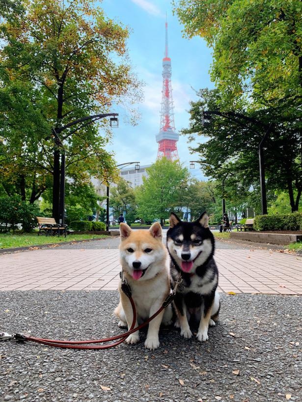 「東京タワー」を背景に、日本全国制覇の記念撮影！