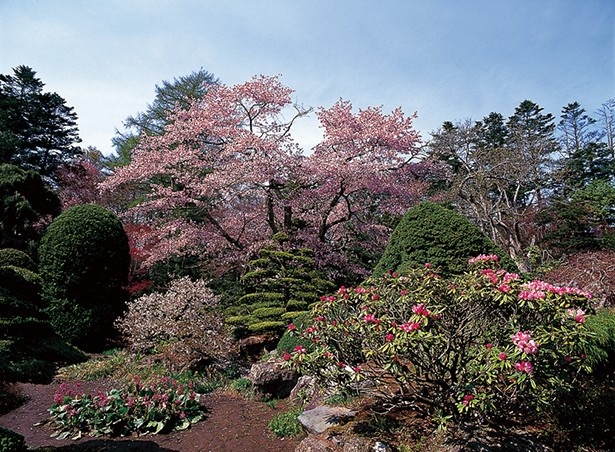 東庭園