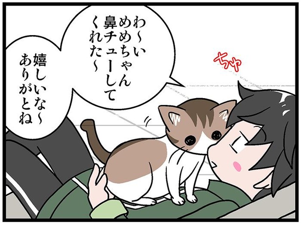 猫が鼻チューしてくれた!!その後、飼い主は冷静にある場所へ向かって…!?