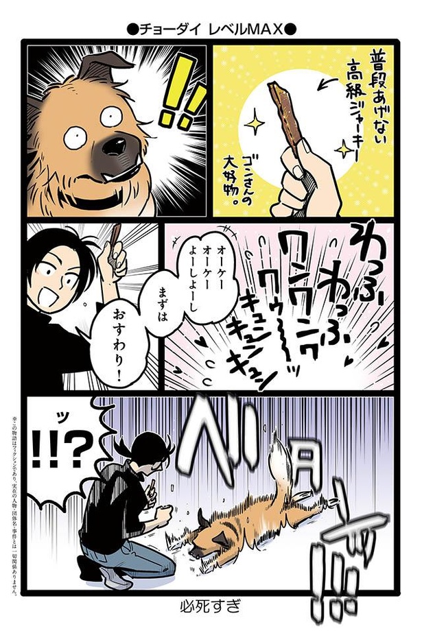 画像2 6 漫画 ゴンさんが珍しく 香箱座り その姿はまるで牛 雑種犬ゴンさんがダサかわいい ウォーカープラス