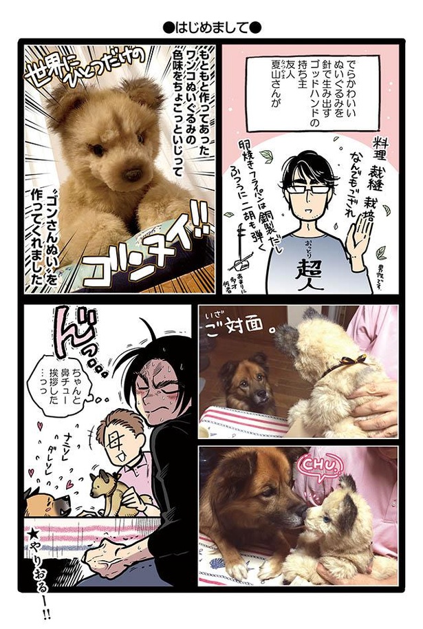 漫画 ゴンさんが珍しく 香箱座り その姿はまるで牛 雑種犬ゴンさんがダサかわいい 2 3 ウォーカープラス