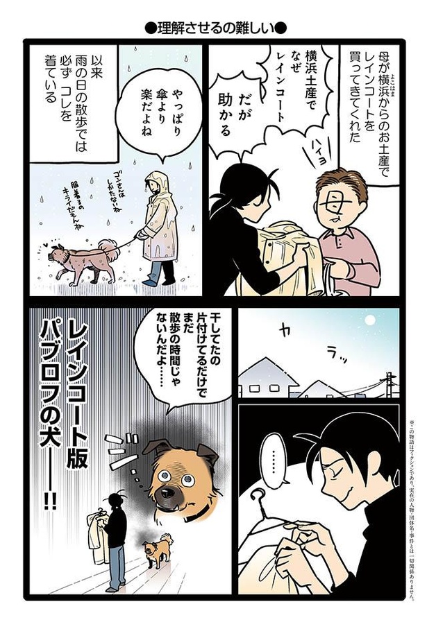 漫画 雨の日の散歩はレインコートで 乾かして畳んでいたら ゴンさんがこっちを見つめている 雑種犬ゴンさんがダサかわいい 1 3 ウォーカープラス