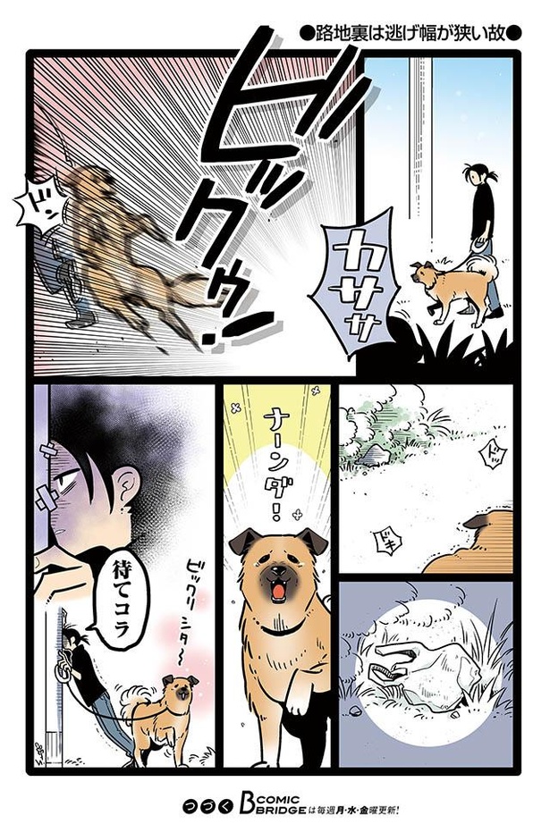 漫画 低血圧で朝寝坊のゴンさん 寝起きの状態で お手 をしたら 雑種犬ゴンさんがダサかわいい 3 3 ウォーカープラス