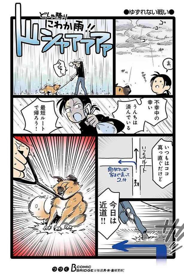 漫画 散歩中の通り雨 近道をしようとしたら ゴンさんがまさかの拒否 雑種犬ゴンさんがダサかわいい 3 3 ウォーカープラス