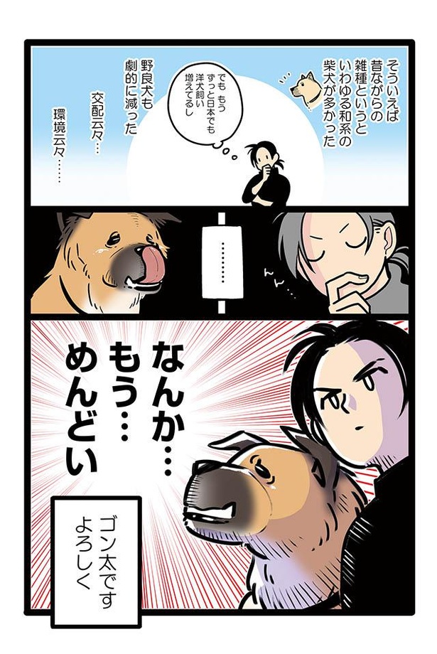 漫画 ゴンさんのルーツを探れ ブルドッグに柴犬 小型犬から大型犬まで網羅 雑種犬ゴンさんがダサかわいい 1 3 ウォーカープラス