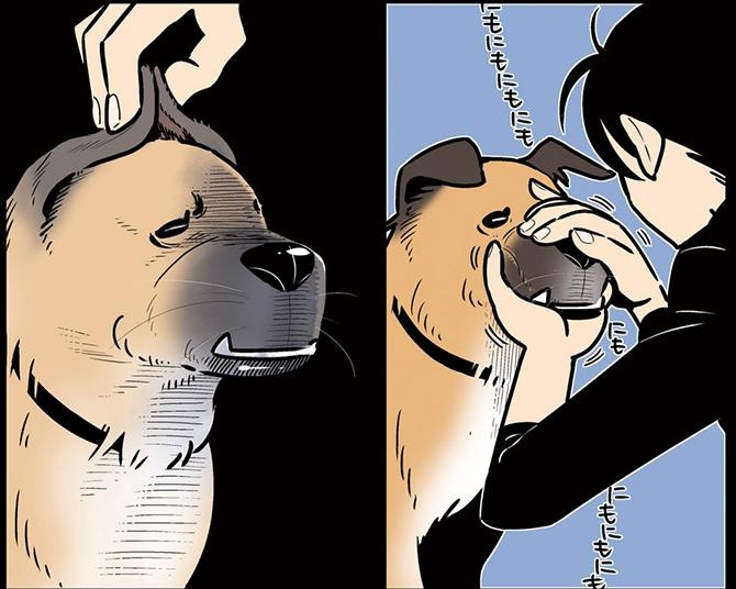 【漫画】ゴンさんのルーツを探れ！ブルドッグに柴犬…小型犬から大型犬まで網羅⁉／雑種犬ゴンさんがダサかわいい