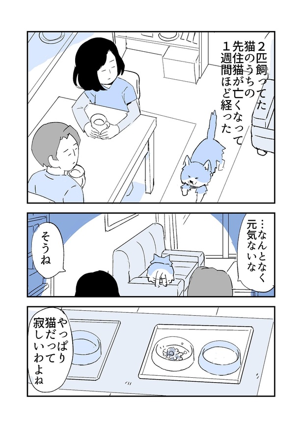 「人から聞いた不思議な話を漫画にしてみた」53話(1/4)