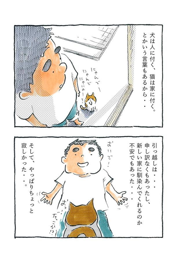 kotatsu051_4