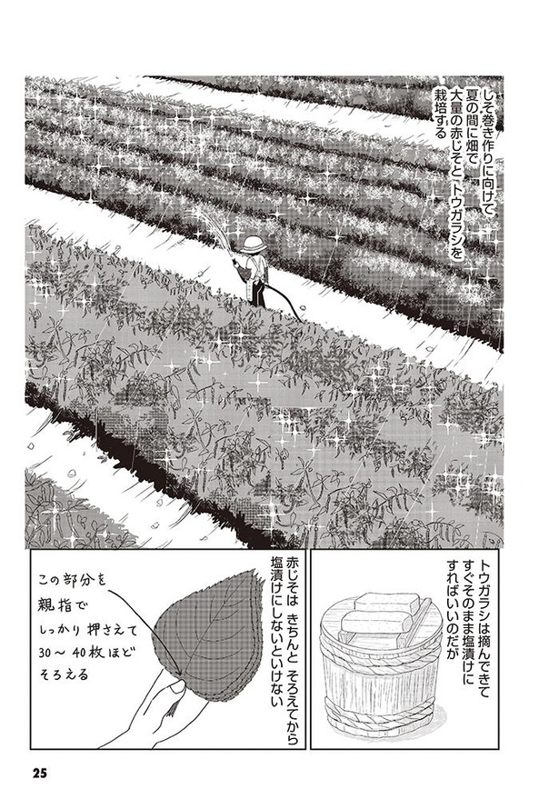 強くて 優しかった曾祖母を思い出して 涙腺ブワッ 情景豊かな 昭和ノスタルジー漫画 に共感続々 ウォーカープラス