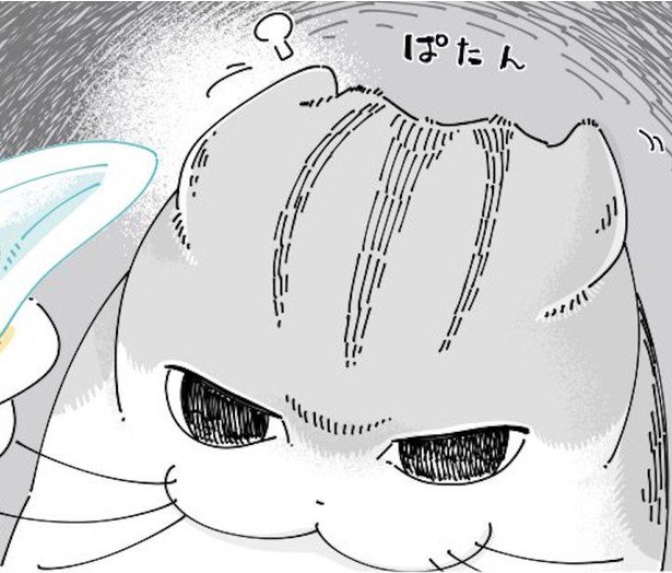 漫画 耳ぱたん 思うように耳掃除させてくれない猫ちゃんに共感の声多数 耳掃除あるある ウチの猫も ウォーカープラス