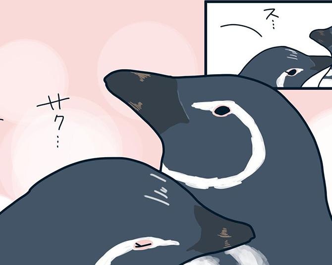 【漫画】人間もペンギンも恋のステップは似ている!?カップル成立なるか…？