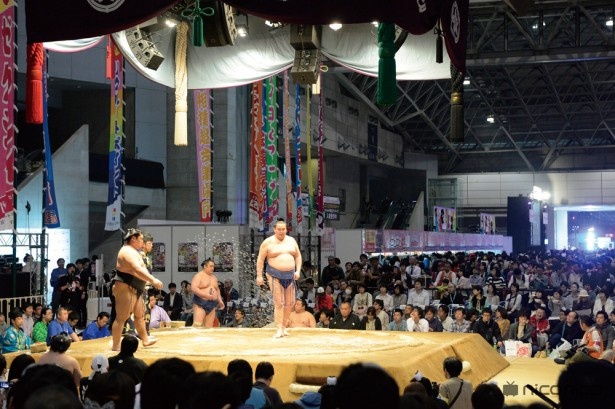 横綱をはじめ、約250名の力士の取り組みが観戦できる「大相撲超会議場所」