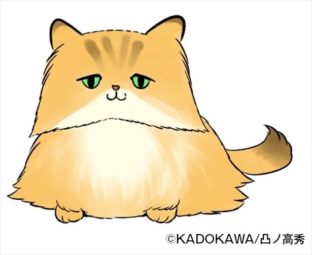 カリスマネコ「ふーちゃん」