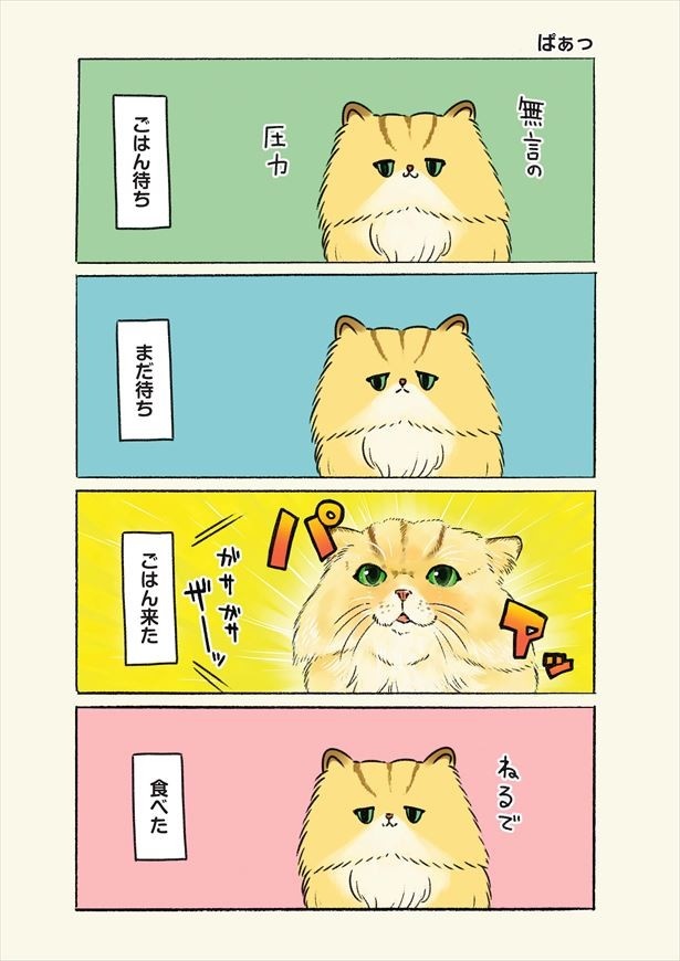 読むと思わず癒されてしまう