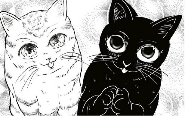 画像1 / 5＞【猫の日】猫は人間に魔法をかけている!?「私もかかってる